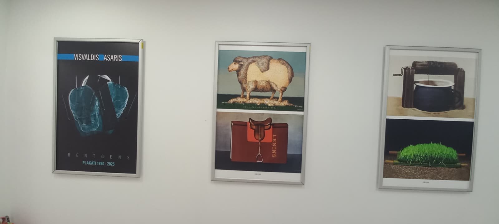 WhatsApp Image 2025-11-13 at 12.11.08.jpeg