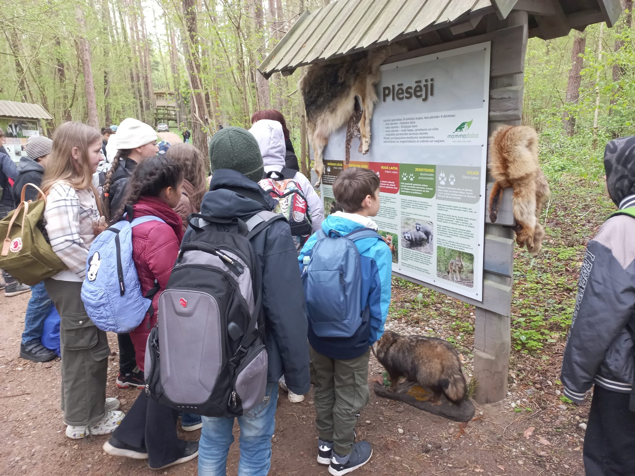 WhatsApp Image 2026-05-11 at 13.35.30.jpeg